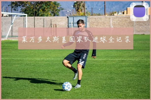 莱万多夫斯基国家队进球全记录